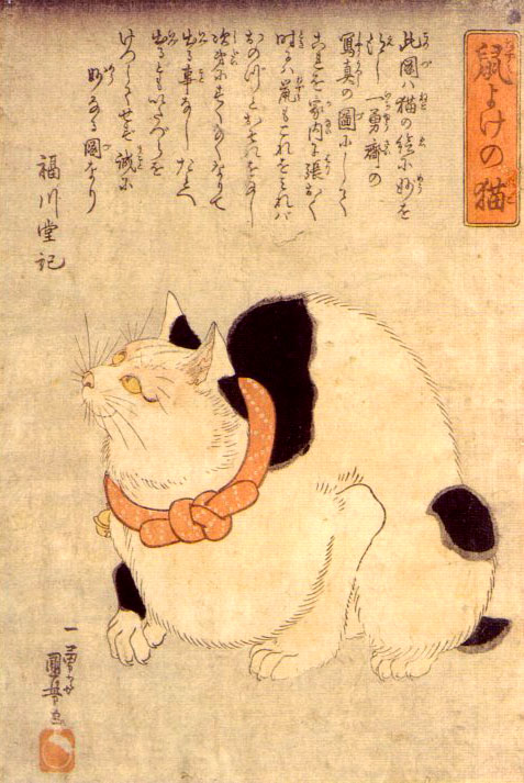 anime-neko