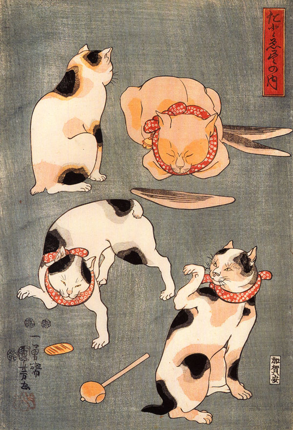 anime-neko