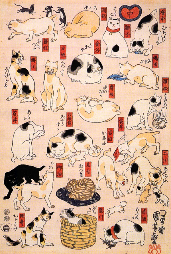 anime-neko