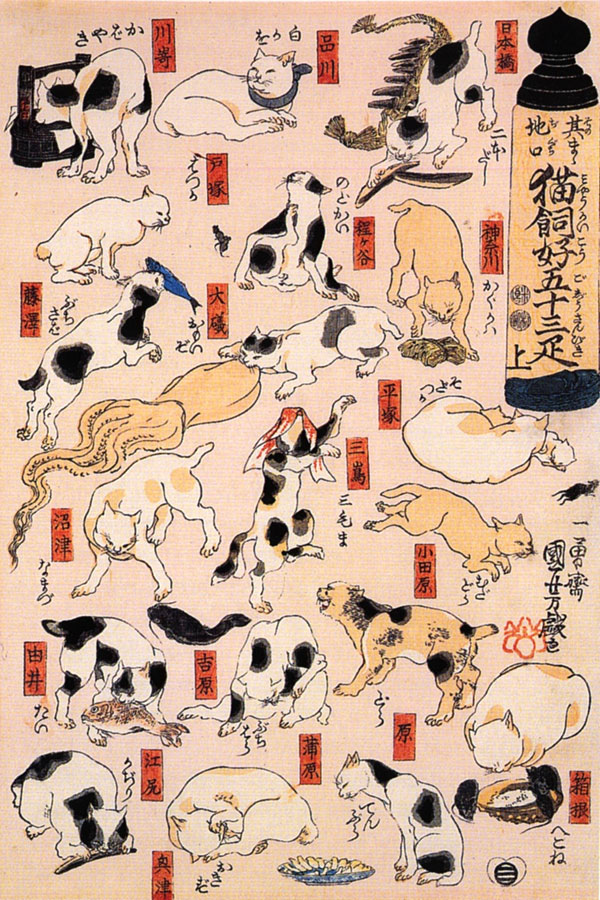 anime-neko