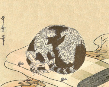 anime-neko