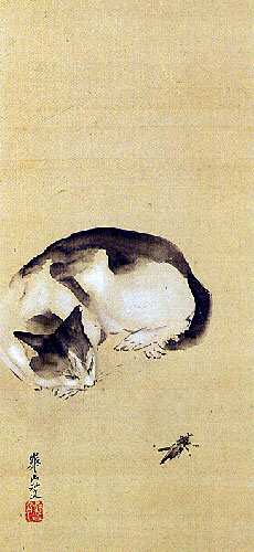 anime-neko
