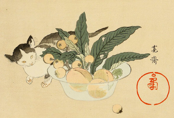 anime-neko