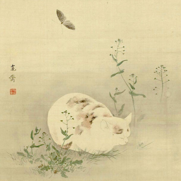 anime-neko