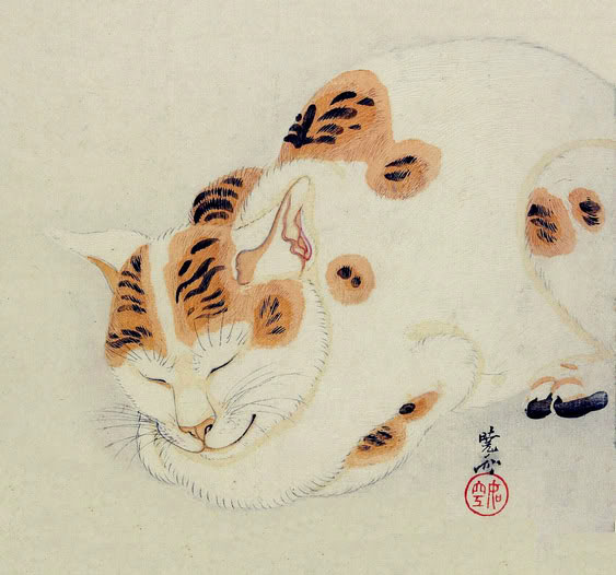 anime-neko