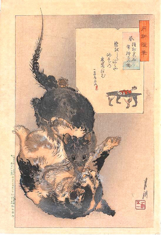 anime-neko