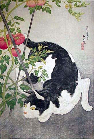 anime-neko