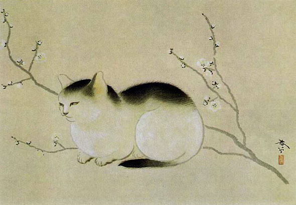 anime-neko