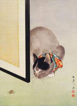anime-neko