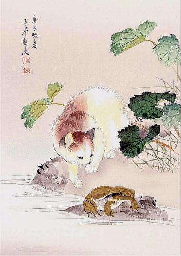 anime-neko